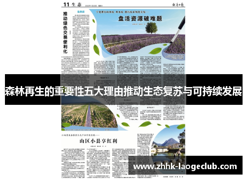 森林再生的重要性五大理由推动生态复苏与可持续发展 森林再生的重要性五大理由推动生态复苏与可持续发展