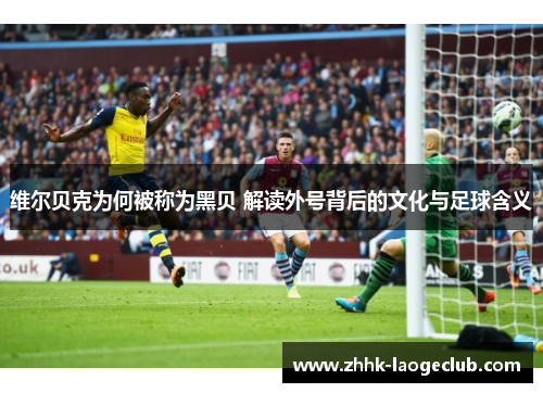 维尔贝克为何被称为黑贝 解读外号背后的文化与足球含义 维尔贝克为何被称为黑贝 解读外号背后的文化与足球含义